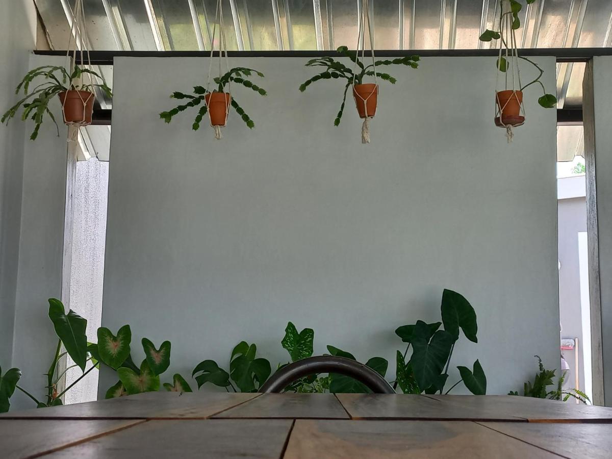 Urban Farm Haus Guesthouse Rundu Exterior foto