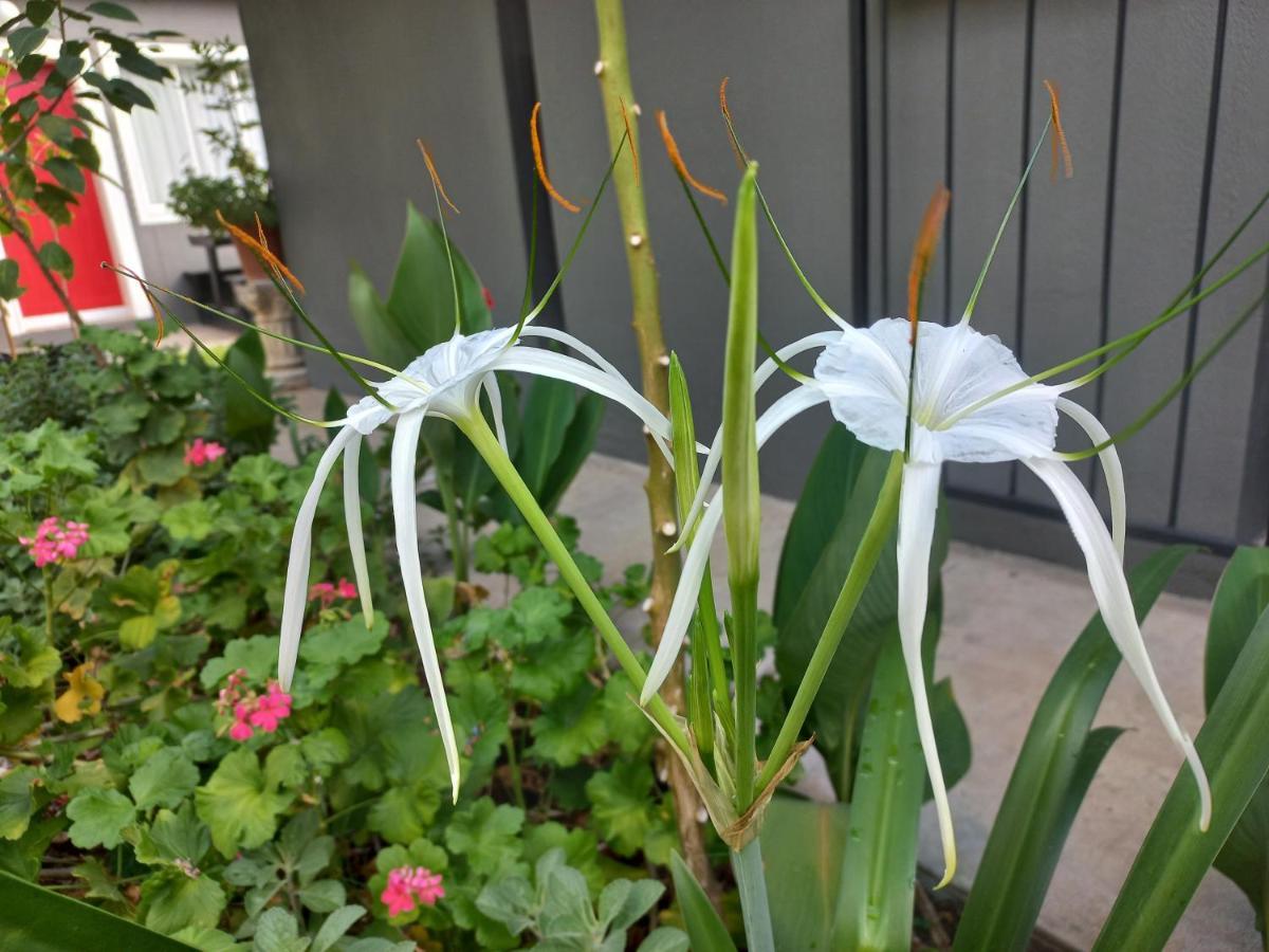 Urban Farm Haus Guesthouse Rundu Exterior foto